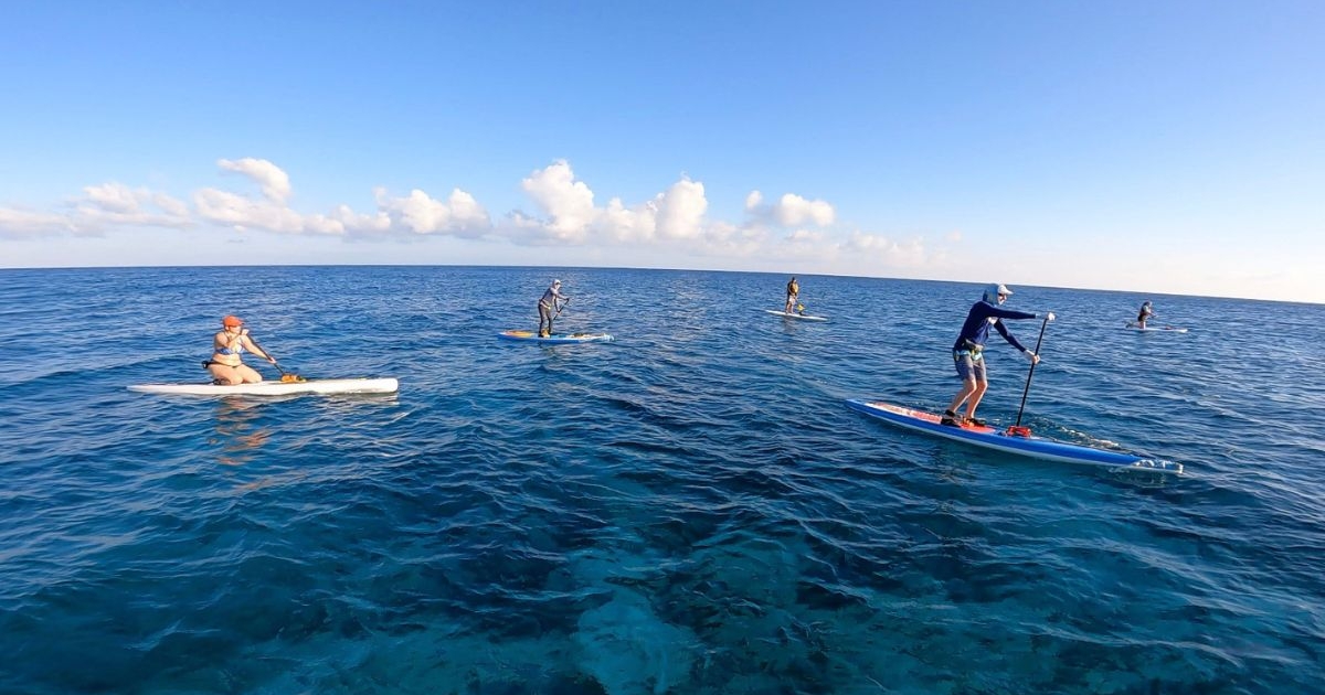 Explore Belize by paddle board Island Expeditions